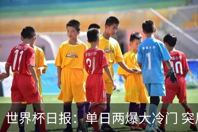 世界杯日报：单日两爆大冷门 突尼斯惨败后现换帅疑云